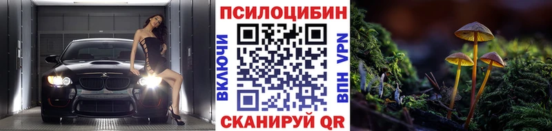 Галлюциногенные грибы Cubensis  Кувандык 