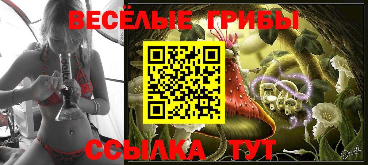 Псилоцибиновые грибы MAGIC MUSHROOMS  Вход с VPN  Кувандык 