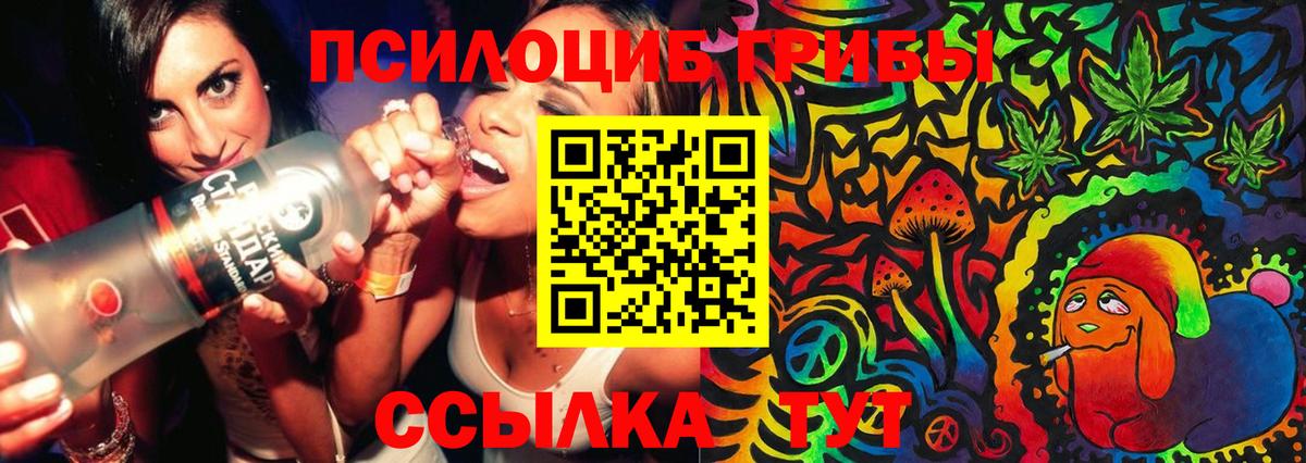 Псилоцибиновые грибы Magic Shrooms Кувандык