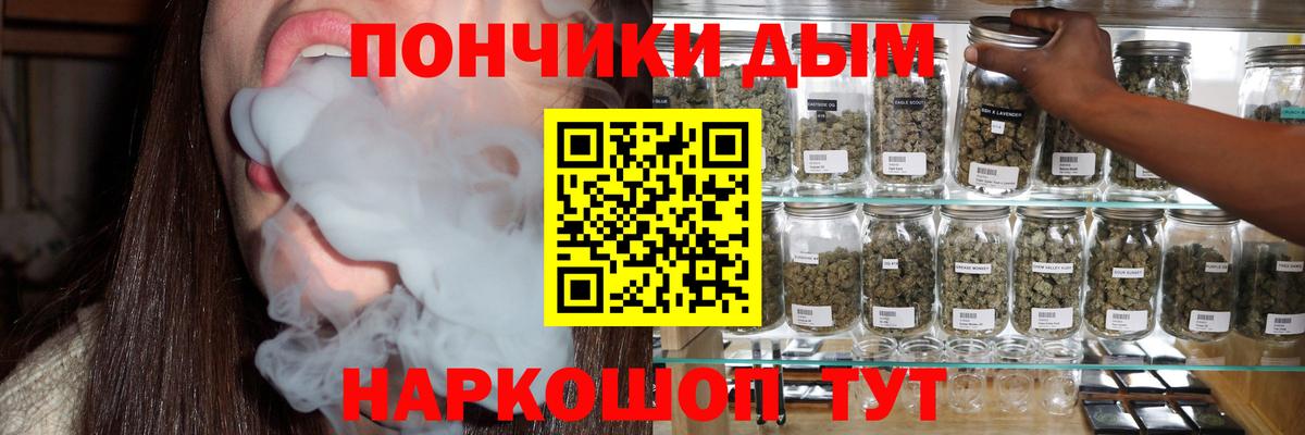 МАРИХУАНА сатива  Кувандык  Шишки марихуана конопля  Каннабис планчик 