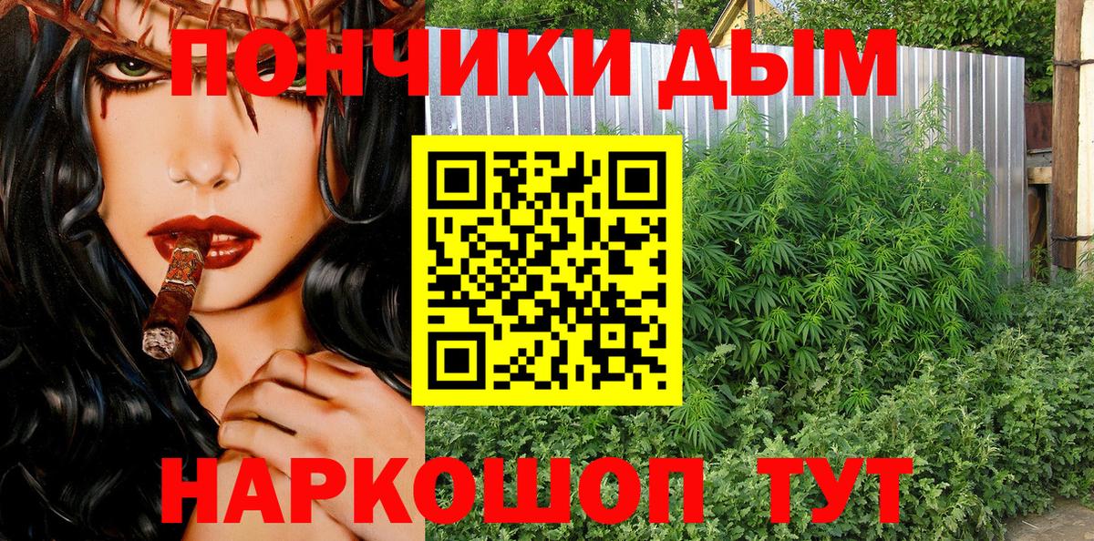 Бошки Шишки SATIVA & INDICA Кувандык